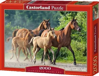 Puzzle Castorland Koně 2000 dílků