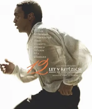 DVD film DVD 12 let v řetězech (2013)