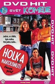 DVD film DVD Holka k nakousnutí (1997)