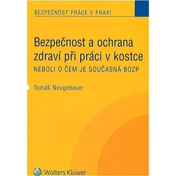 Bezpečnost a ochrana zdraví při práci v kostce - Tomáš Neugebauer