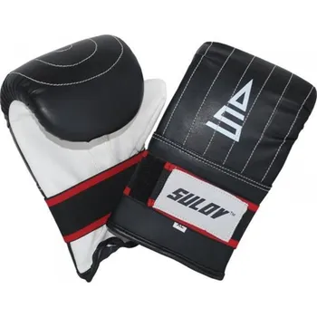 Boxerské rukavice Sulov DX pytlovky