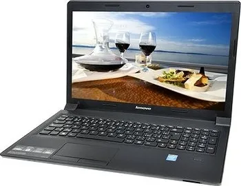 Notebook Lenovo IdeaPad B5400 (59399301)