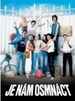 DVD film DVD Je nám osmnáct (2008)