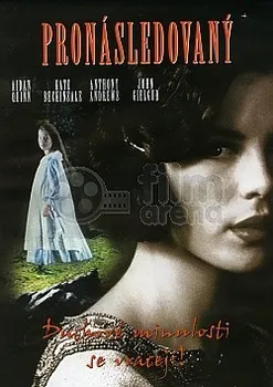 DVD film DVD Pronásledovaný (1995)