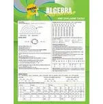 Algebra pod lavicí - Irina Ševkunova