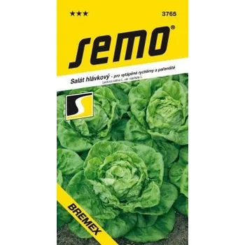 Semeno SEMO Salát k rychlení Bremex Profi 0,6 g 