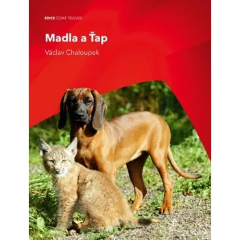 DVD film DVD Madla a Ťap (2006)