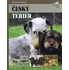 Chovatelství Český terier - Hana Petrusová