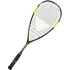 Squashová raketa Tecnifibre Carboflex 125 Basaltex