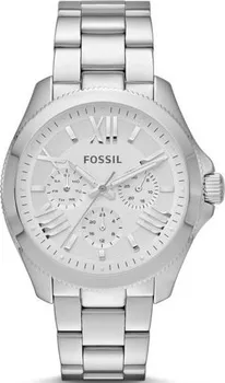 Hodinky Fossil AM4509