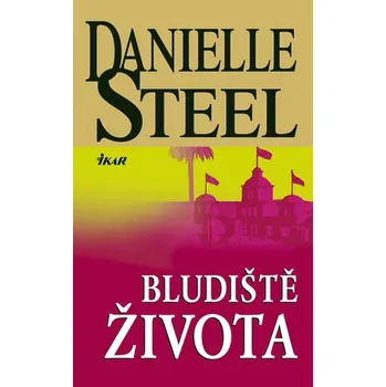 Bludiště života - Danielle Steel
