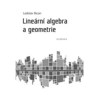 Matematika Lineární algebra a geometrie - Ladislav Bican