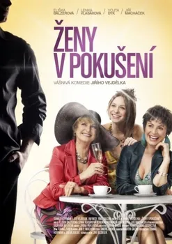DVD film DVD Ženy v pokušení (2009)