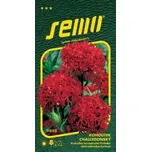 SEMO Kohoutek chalcedonský červený 0,7 g