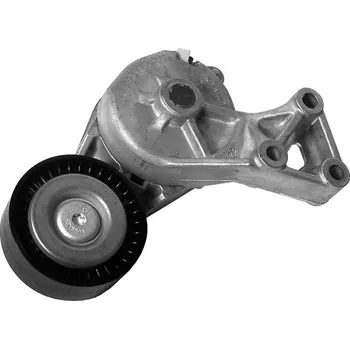 Rozvod motoru Napínací rameno pro žebrovaný klínový řemen INA (IN 534013230)