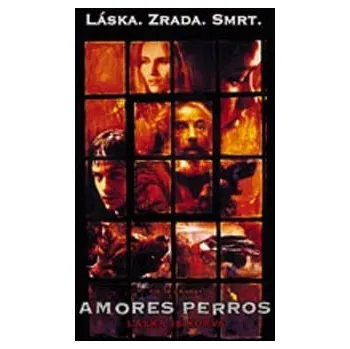 DVD film DVD Amores Perros - Láska je kurva (2000)