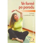 Ve formě po porodu - Chantale Dumoulin,…
