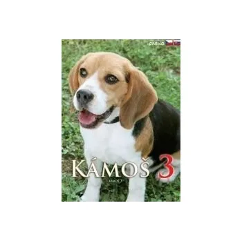 DVD film DVD Kámoš 3 (2006)