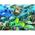 Puzzle Ravensburger Podmořský svět 150 dílků