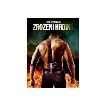 DVD film DVD Zrození hrdiny (2008)