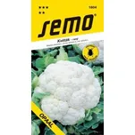 Semo Květák jarní Opaal raný 40 ks