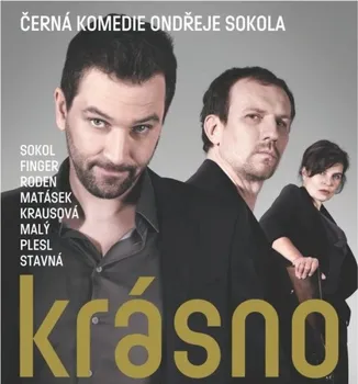 DVD film DVD Krásno (2014) 