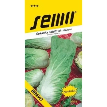 Semeno SEMO Čekanka hlávková zelená Pan di Zucchero Bravo 0,3 g 