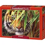 Castorland Tygr 1500 dílků