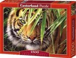 Castorland Tygr 1500 dílků