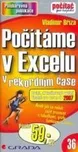 Počítáme v Excelu - Vladimír Bříza