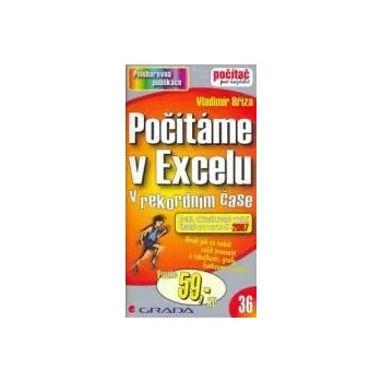 Počítáme v Excelu - Vladimír Bříza