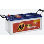 Banner Energy Bull 963 51