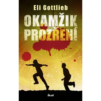 Kniha Okamžik prozření - Eli Gottlieb