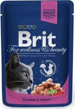Krmivo pro kočku Brit Premium Cat kapsička Salmon/Trout 100 g