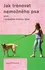 Chovatelství Jak trénovat nemožného psa - Jane Killionová