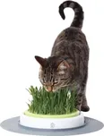 Cat It Design Senses trávník