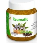 Virde Reumafit Kostivalový gel s…