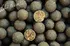 Boilies LK Baits Boilie Top ReStart Boilies Sea Food 18mm 250g