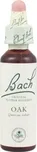 Bachovy esence Oak 20 ml
