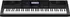 Keyboard Casio WK-6600