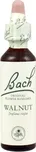 Bachovy esence Walnut 20 ml