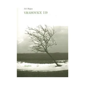 Vrahovice 119 - Jiří Bigas