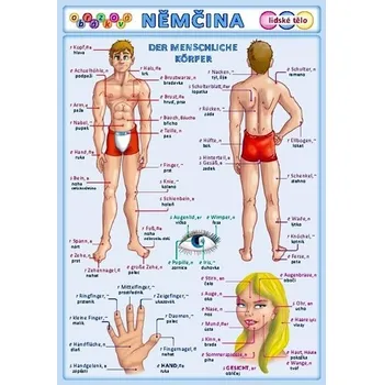 výuková tabulka Obrázková němčina 3: Lidské tělo - Petr Kupka