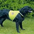Obleček pro psa Bezpečnostní reflexní vesta S/č.1, 28-42/39-50cm TRIXIE