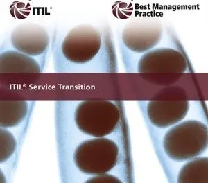 ITIL Service Strategy 2011 Edition - David Cannon