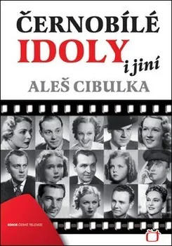 Literární biografie Černobílé idoly i jiní - Aleš Cibulka