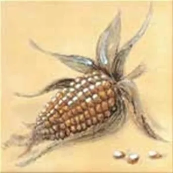 Obklad Rako Dekor Classic Corn 15 x 15 cm béžový