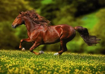 Puzzle DINO 1000 dílků - Na rozkvetlé louce (kůň)