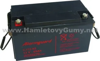 Článková baterie Záložní akumulátor Alarmguard CJ12-65 (12V 70Ah)