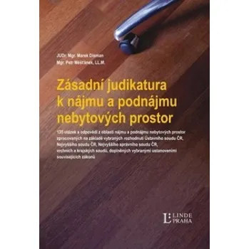 Zásadní judikatura k nájmu a podnájmu nebytových prostor - Marek Disman